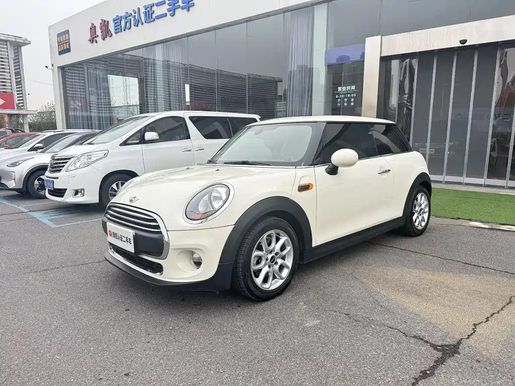 Mini Mini 2017