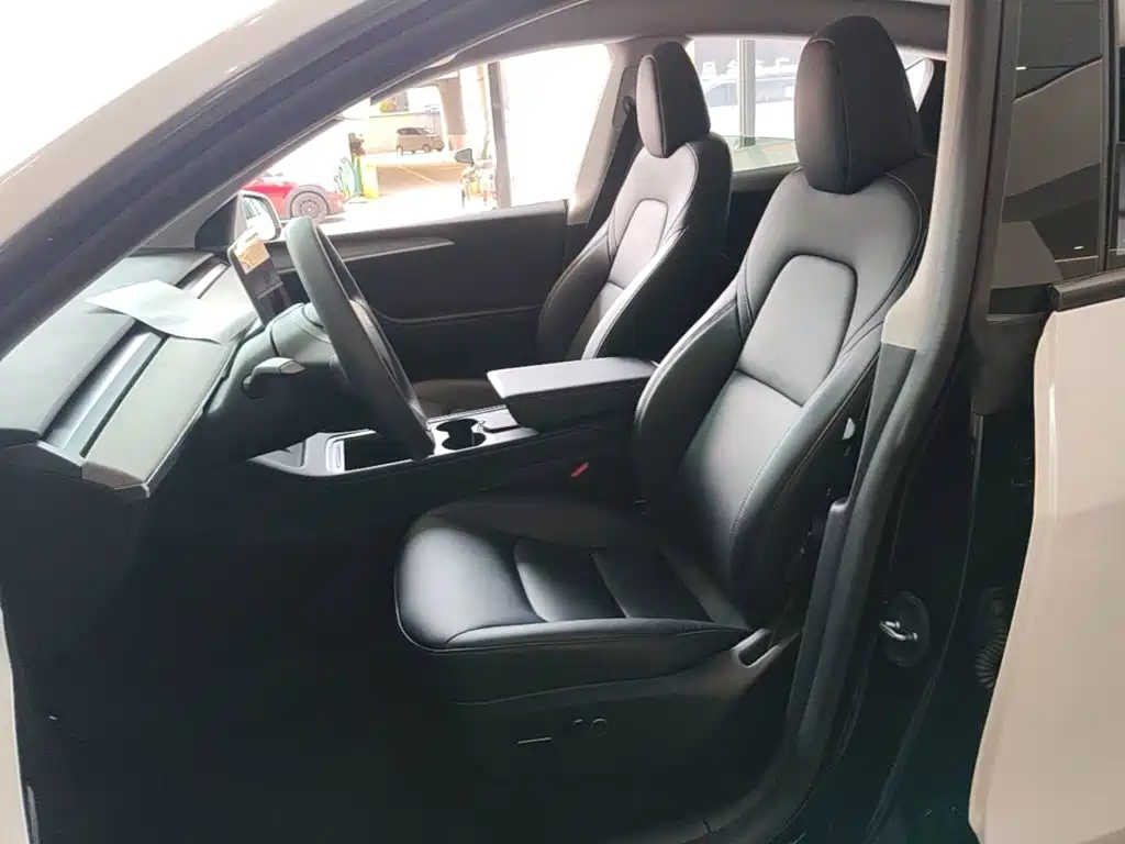 Tesla Model Y — миниатюра 15