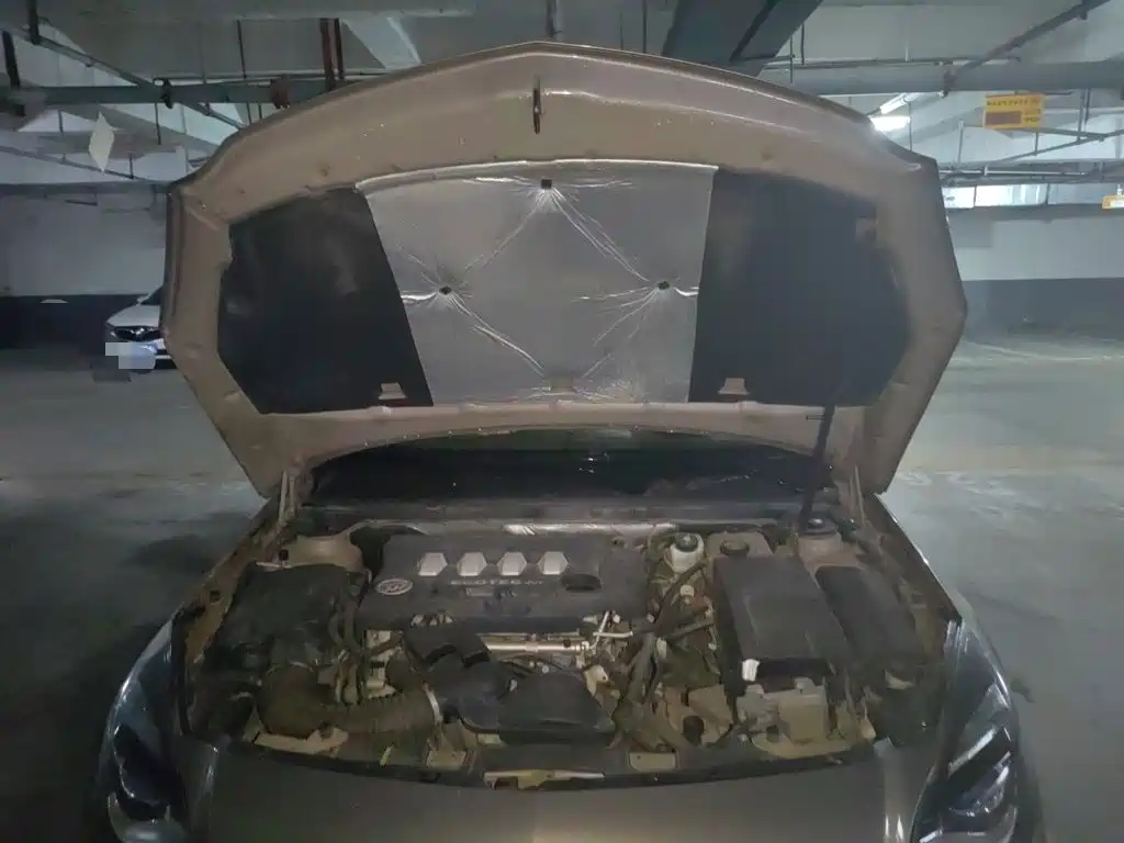 Buick Regal — миниатюра 11