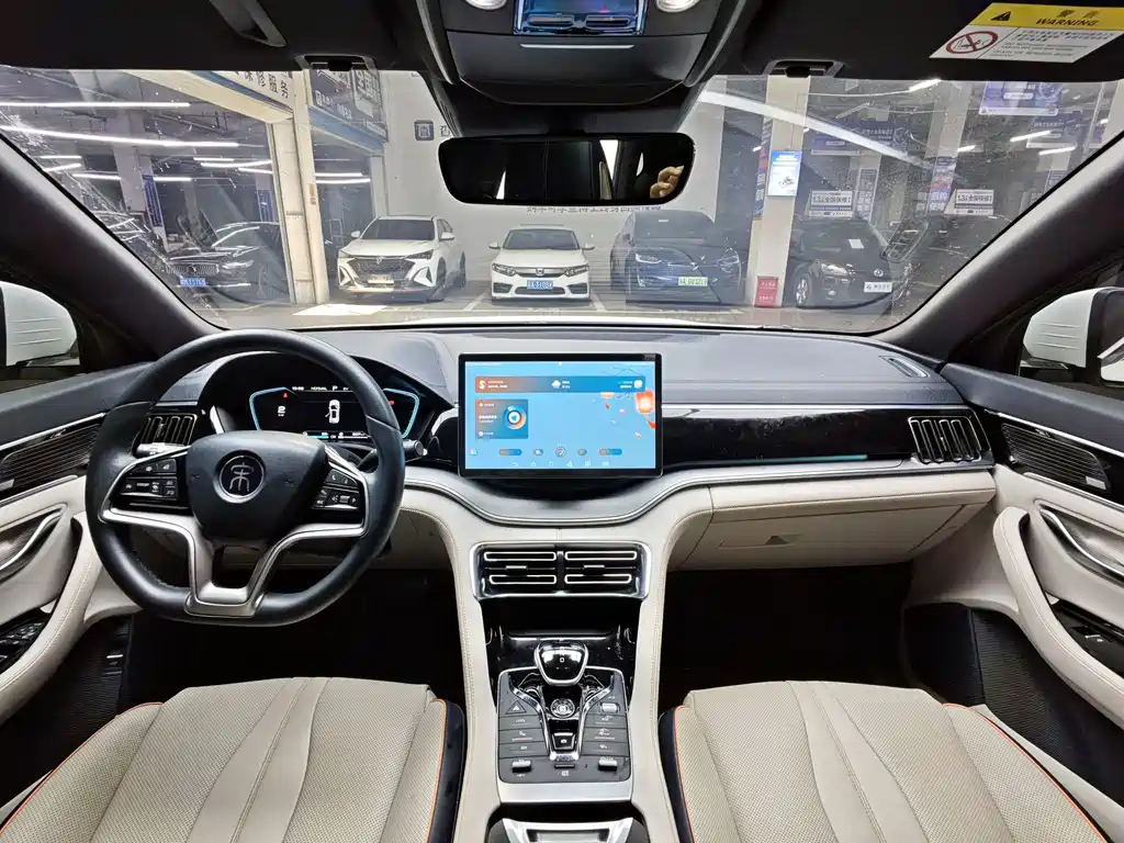 BYD PLUS New Energy — миниатюра 4
