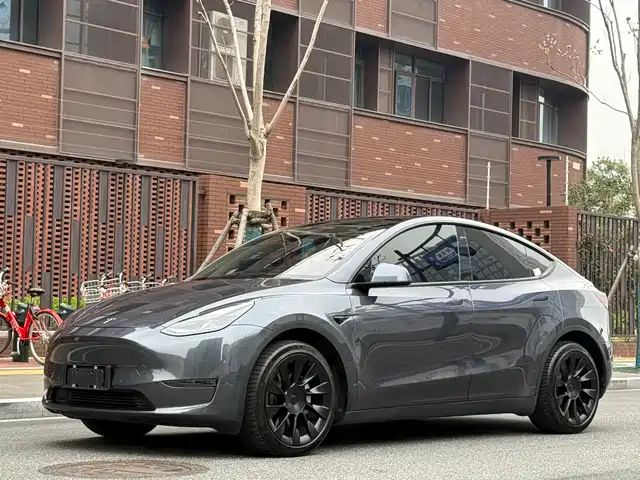 TESLA MODEL Y 2021