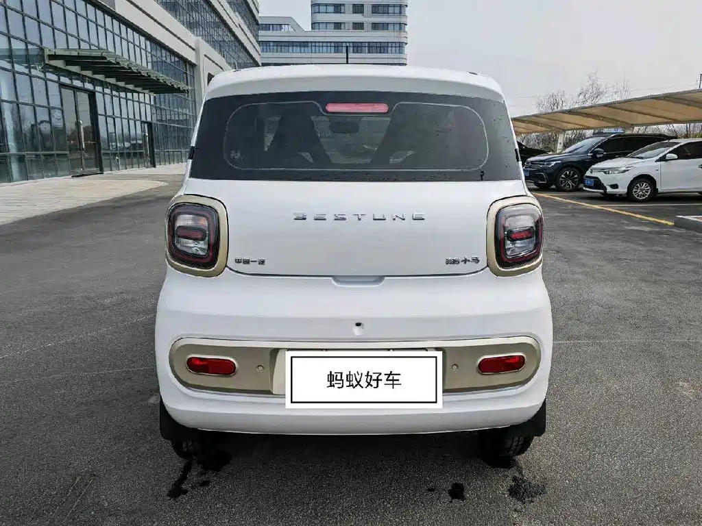 BESTUNE PENTIUM PONY