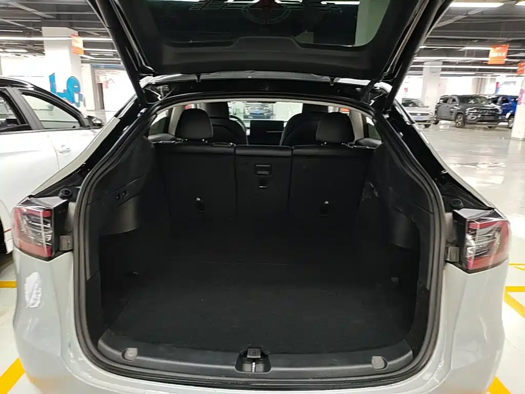 Tesla Model Y — миниатюра 19