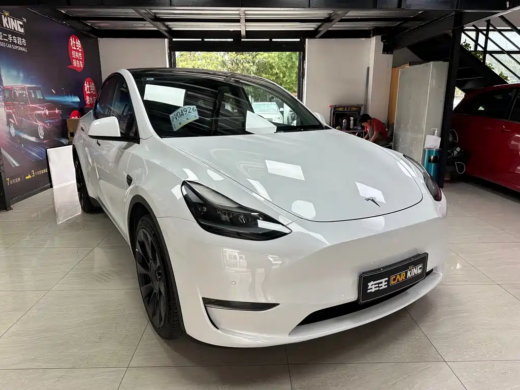 Tesla Model Y — миниатюра 3