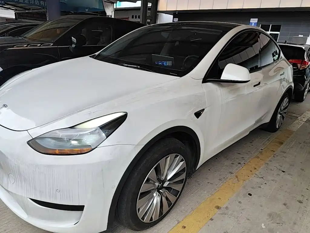 Tesla Model Y — миниатюра 2