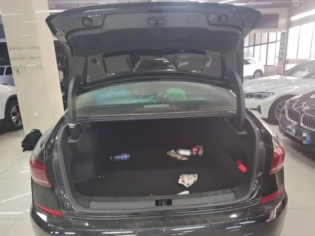 Volkswagen Passat — миниатюра 19