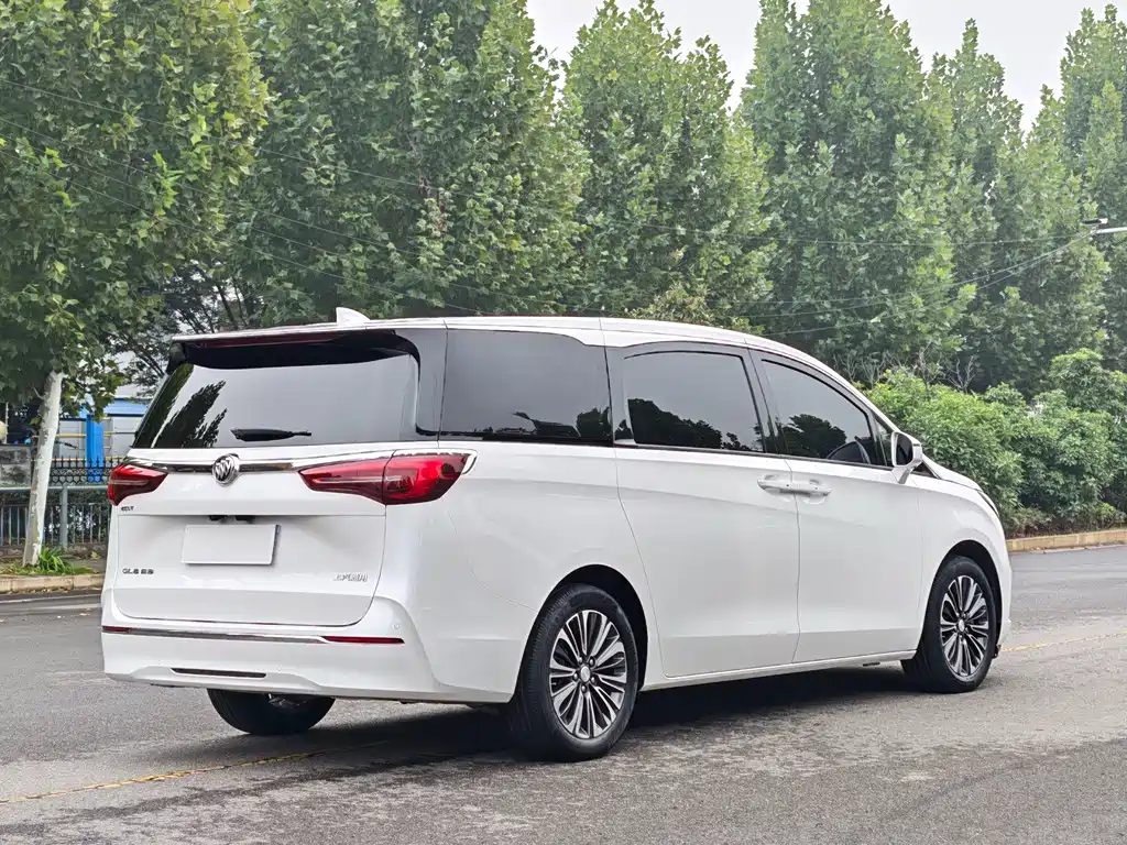 Buick GL8 — миниатюра 9