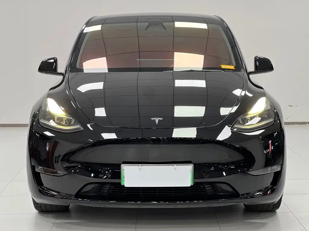 Tesla Model Y — миниатюра 2