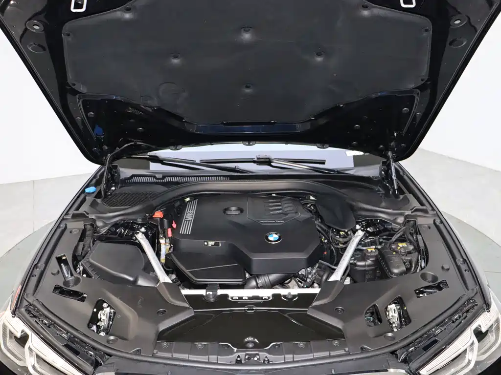 BMW 5 Series 5 2021 530Li Premium M Sport
