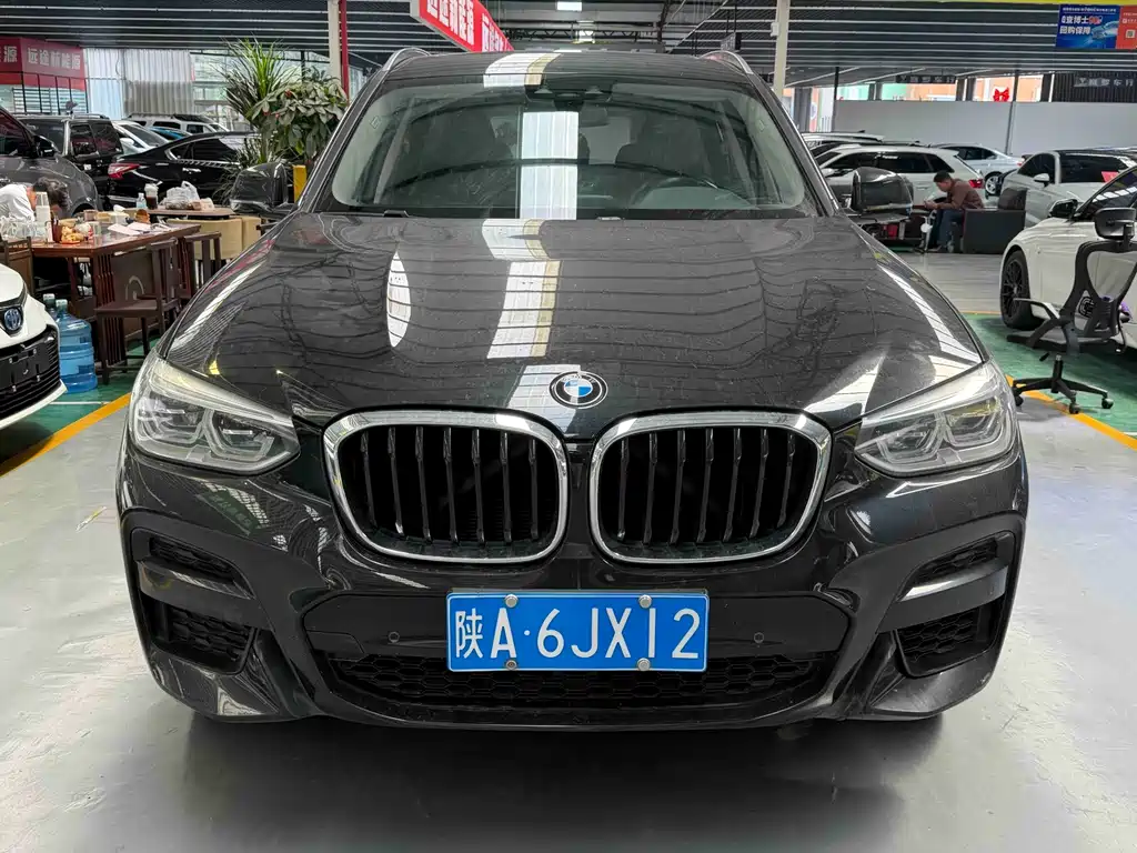 BMW X3 — миниатюра 2