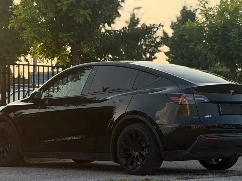 Tesla Model Y — миниатюра 4
