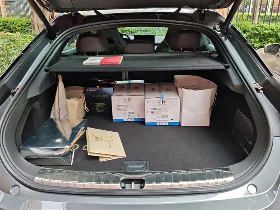 ZEEKR EXTREME KRYPTON 001