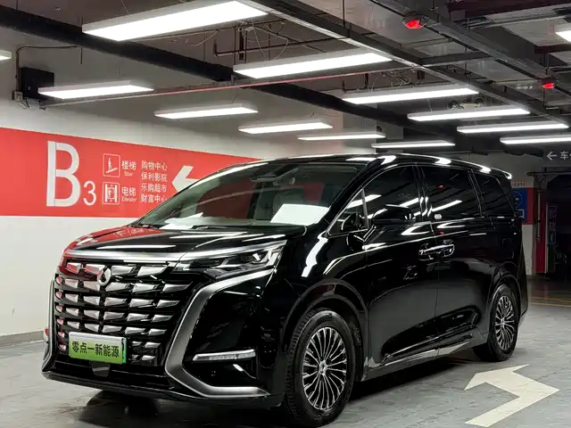 2023 Denza D9