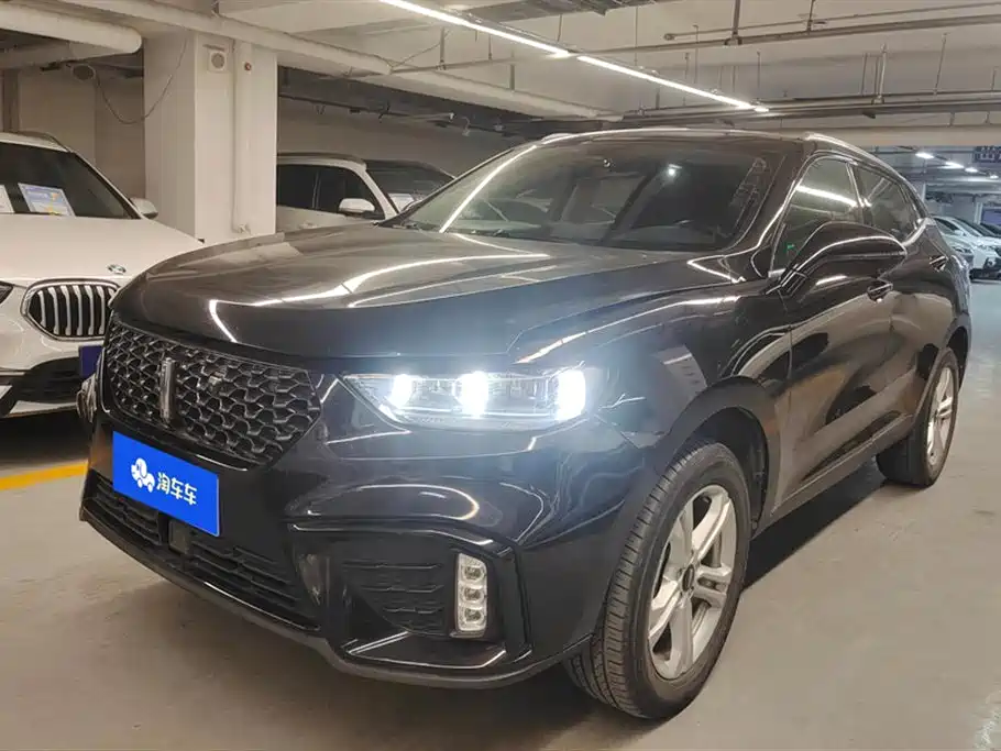 WEI PAI WEI BRAND VV5