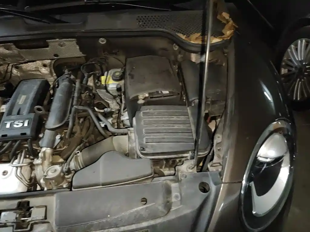 Volkswagen Beetle — миниатюра 21