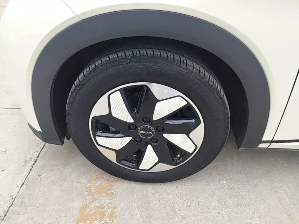 BYD Dolphin — миниатюра 23