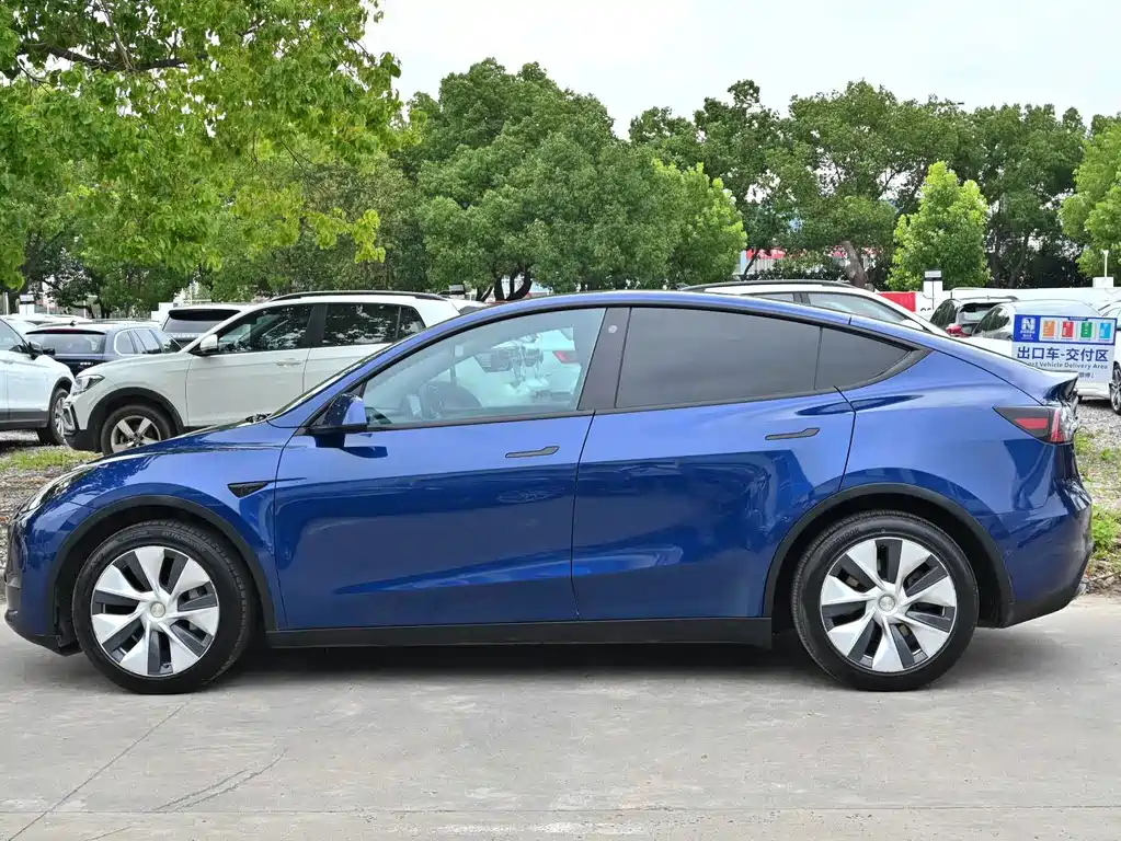 Tesla Model Y — миниатюра 2