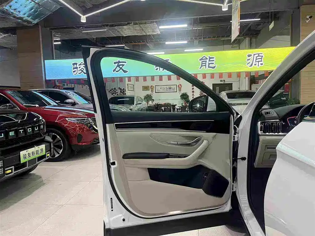 BYD PLUS New Energy — миниатюра 20