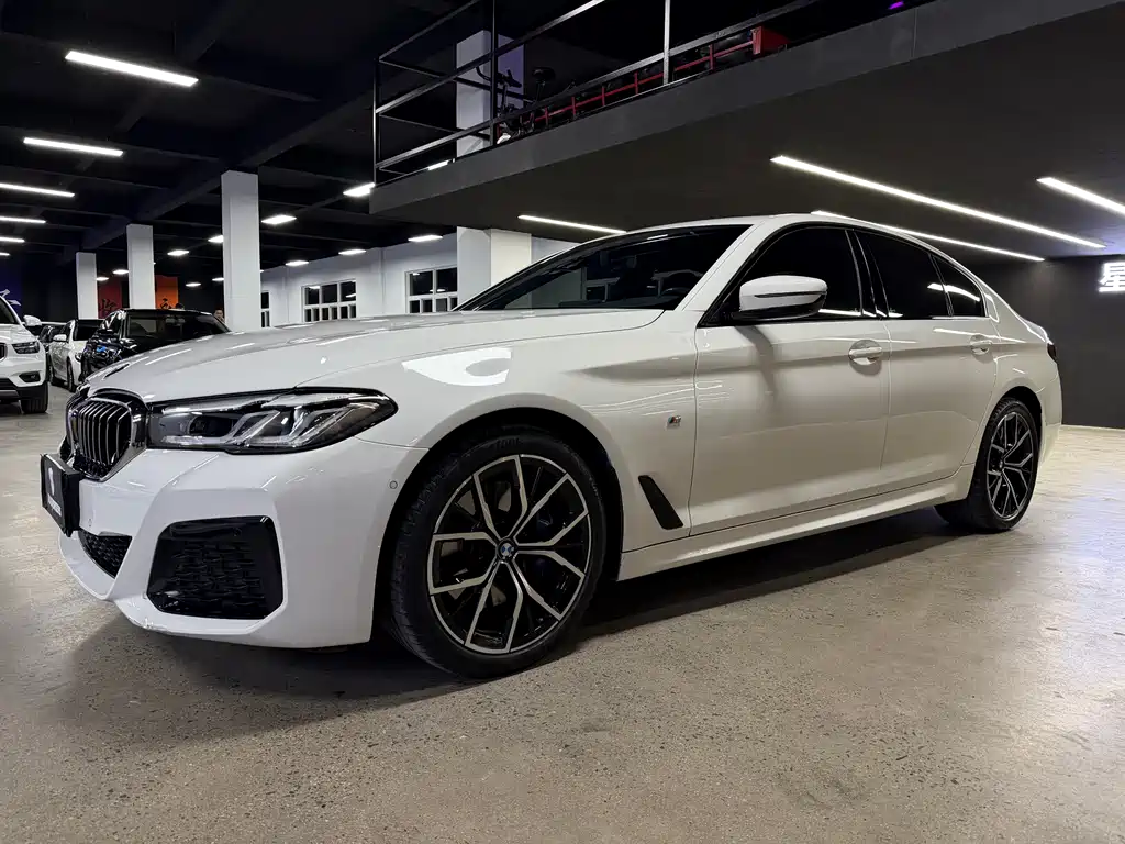 BMW 5 SERIES