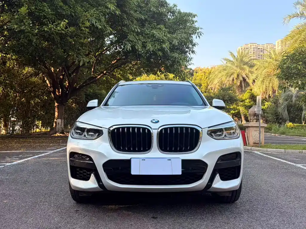BMW X3 — миниатюра 2