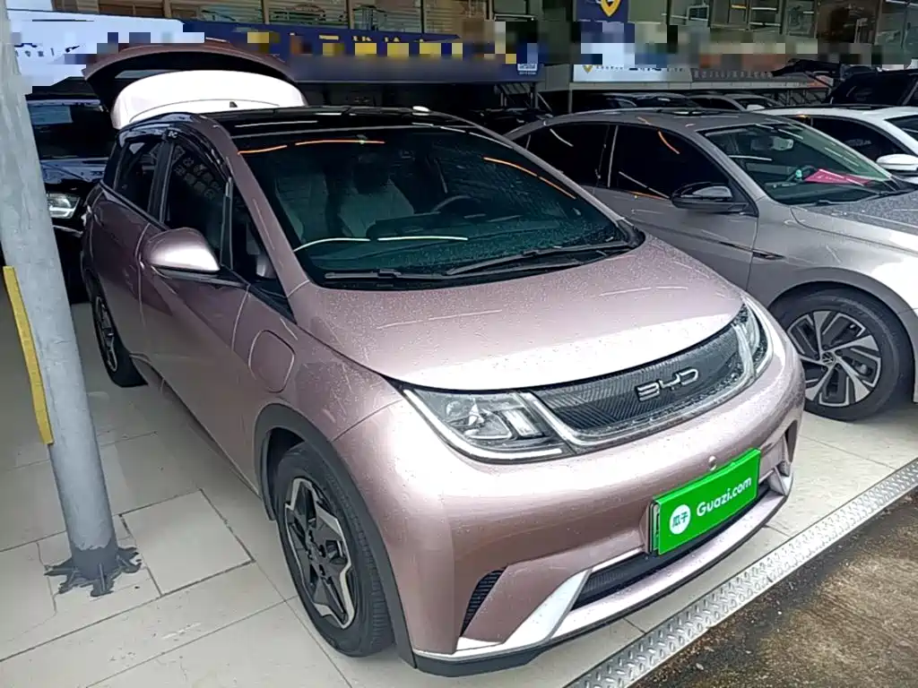 BYD Dolphin — миниатюра 4