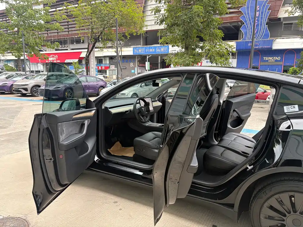 Tesla Model Y — миниатюра 12