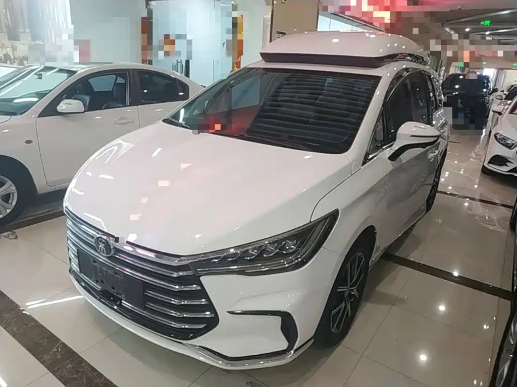 BYD MAX New Energy
