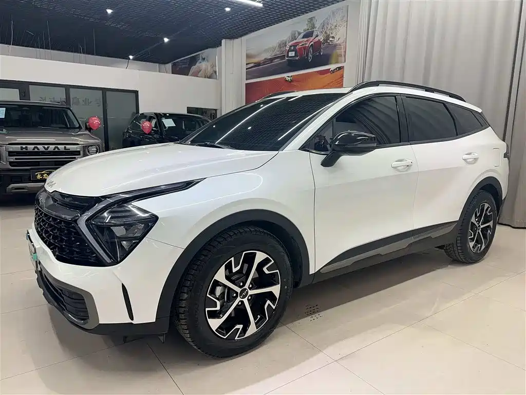 KIA LION PLATINUM EXPANDS THE WORLD