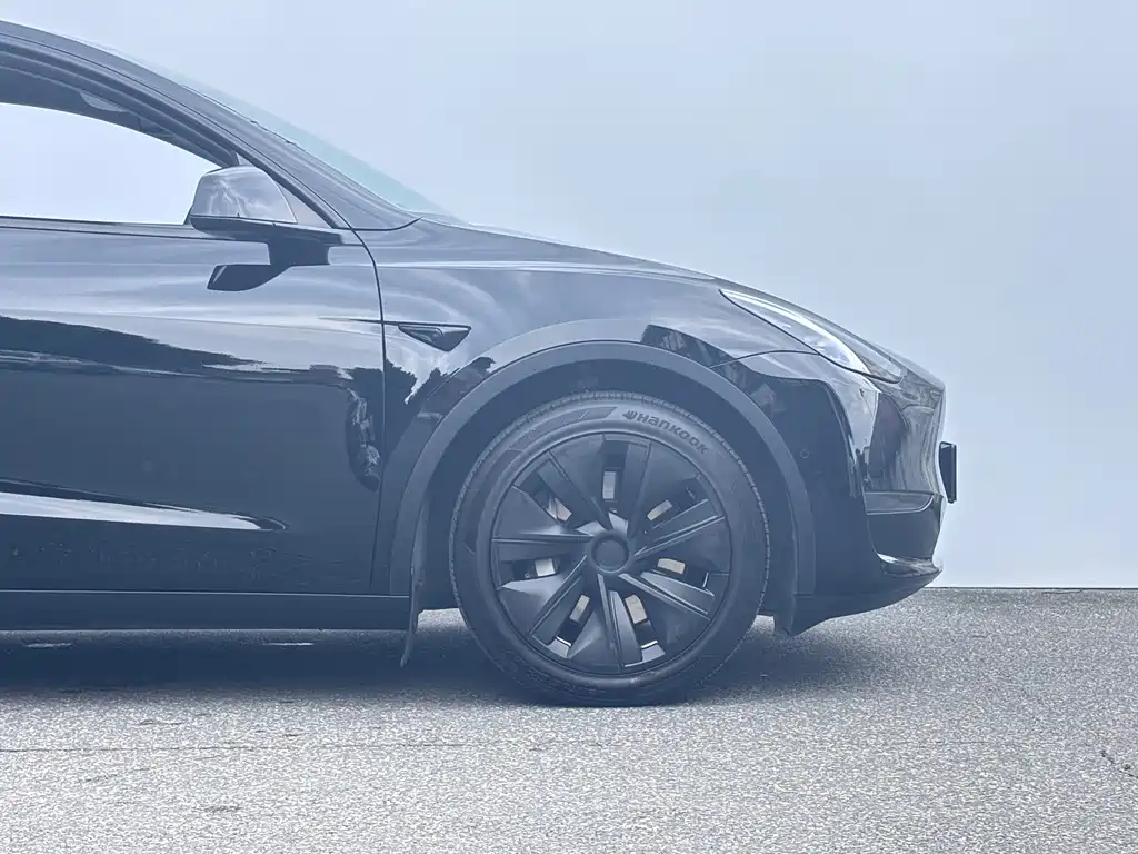Tesla Model Y — миниатюра 6