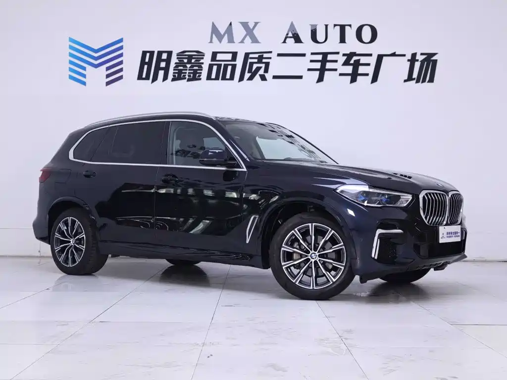 BMW X5 — миниатюра 5