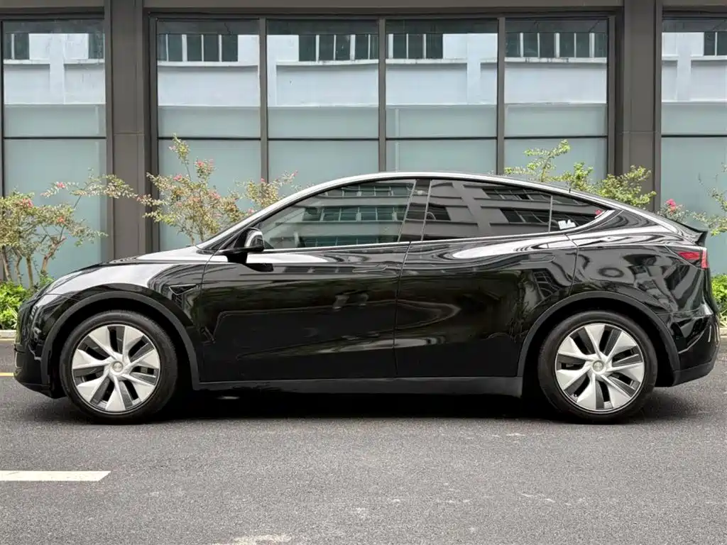 Tesla Model Y — миниатюра 9
