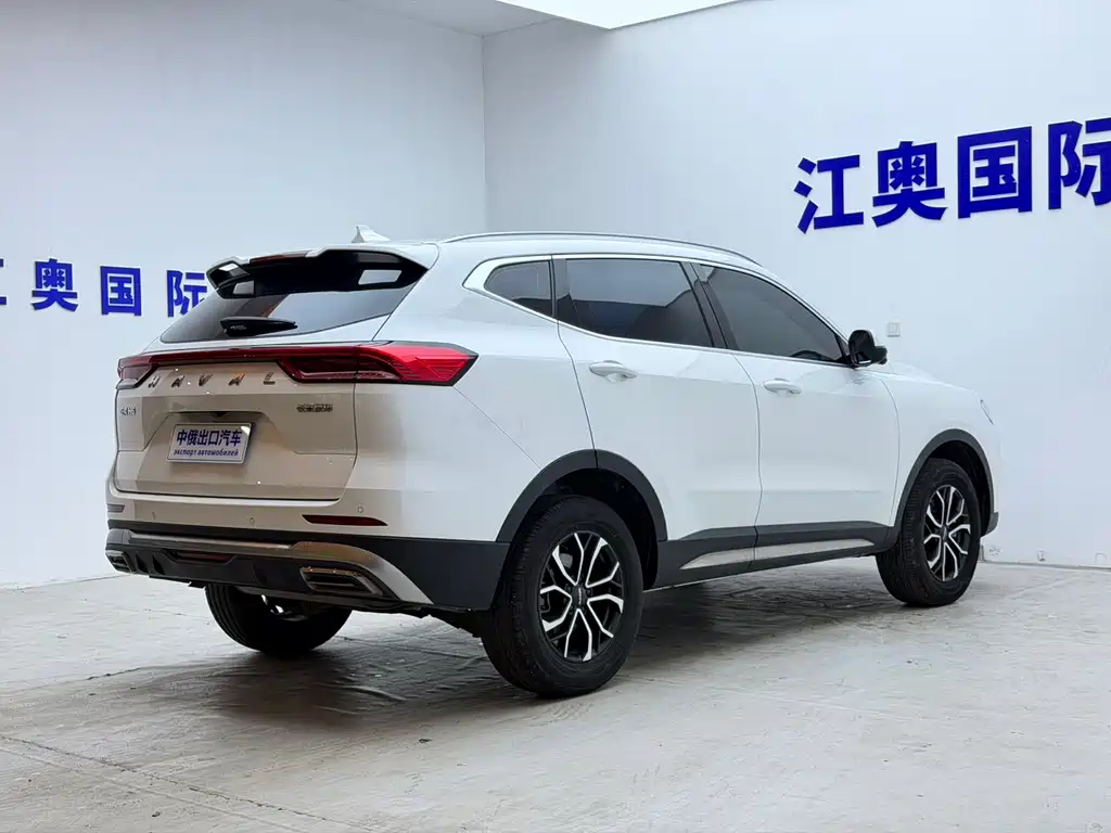 Haval H6 — миниатюра 18