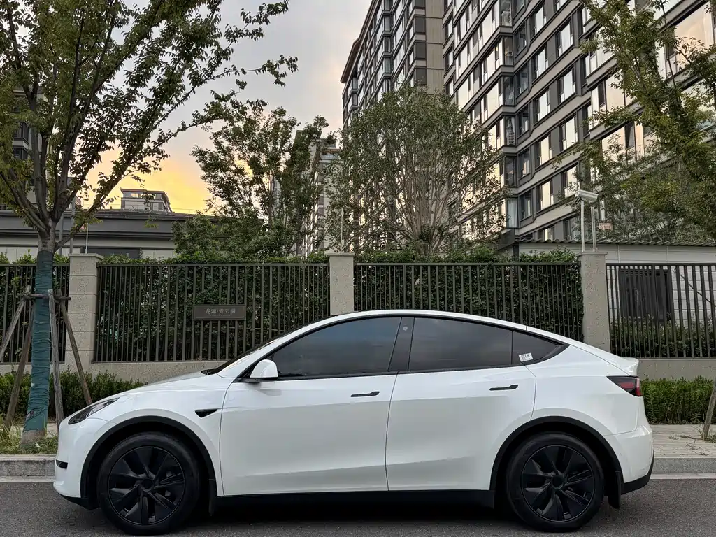 Tesla Model Y — миниатюра 3