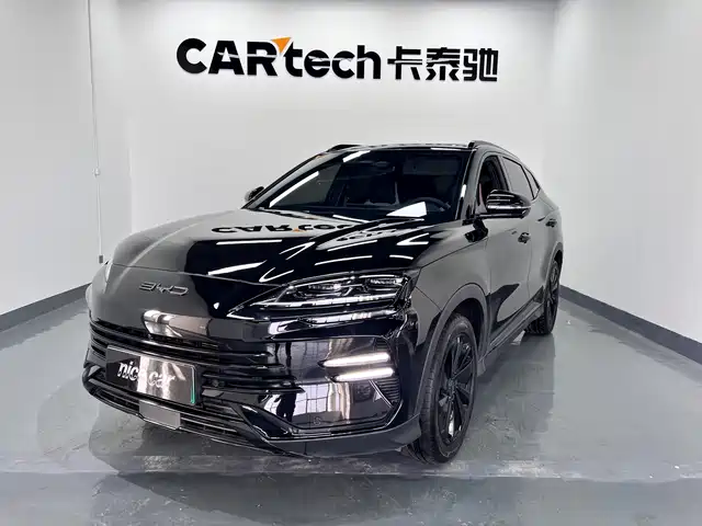 BYD SONGJIANG NEW ENERGY 2024