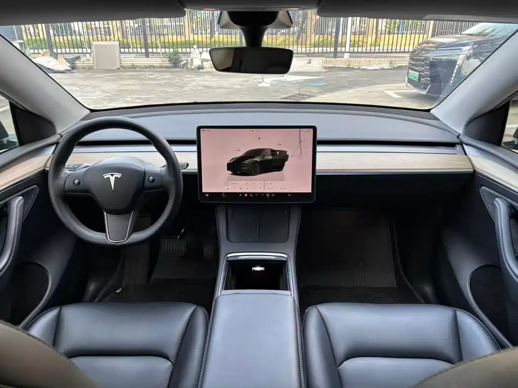 Tesla Model Y — миниатюра 4