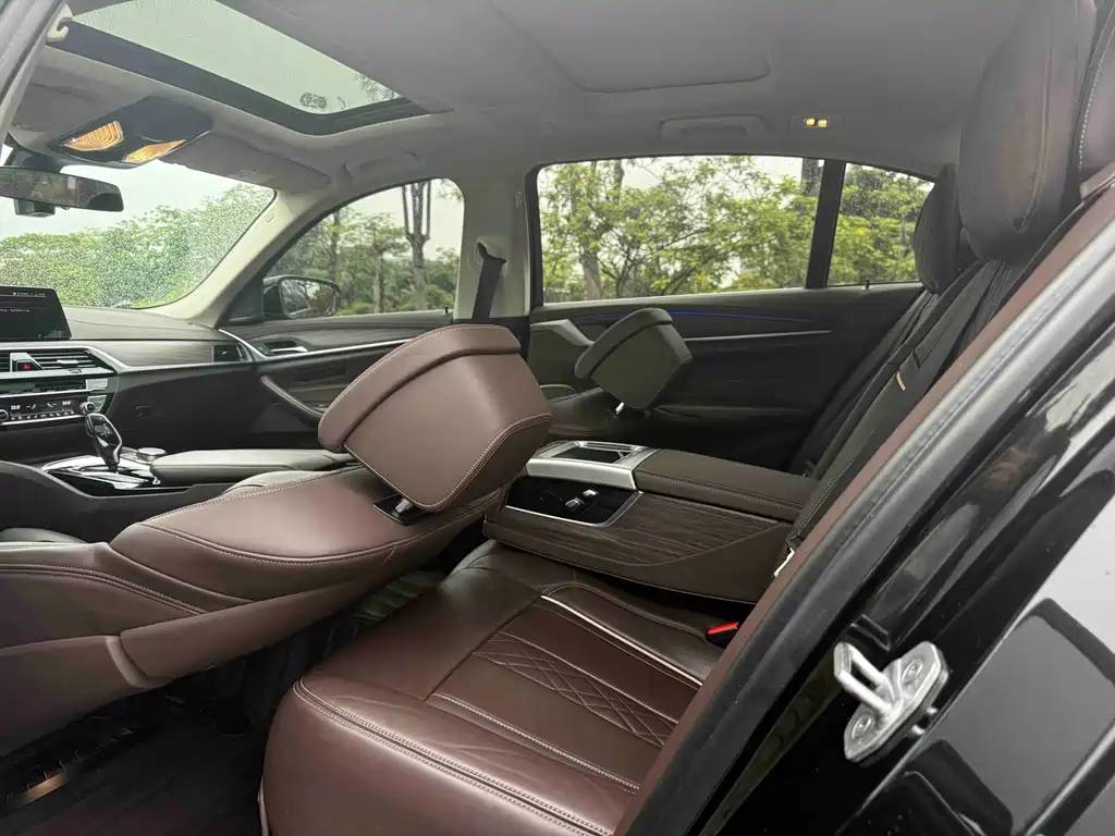 BMW 5 Series 5 2020 530Li Premium Luxury