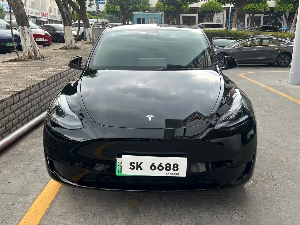 Tesla Model Y — миниатюра 2