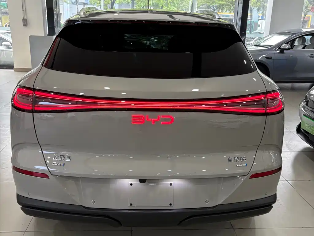 BYD Haisi 06 — миниатюра 6