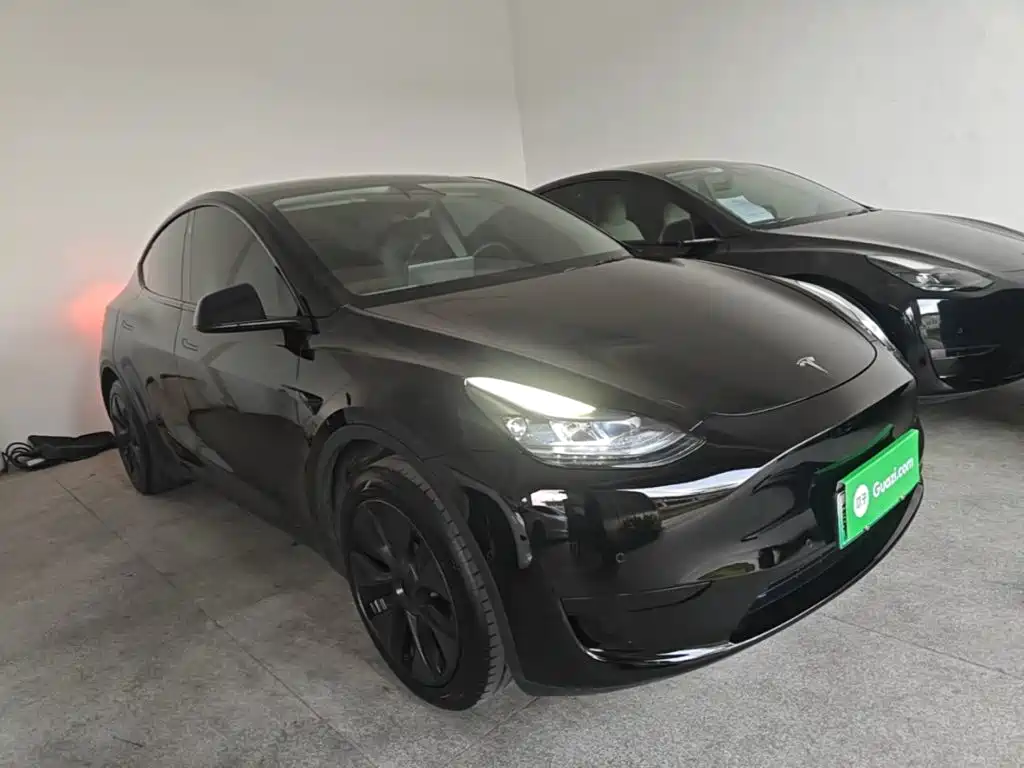 Tesla Model Y — миниатюра 4
