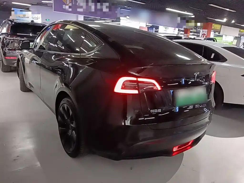 Tesla Model Y — миниатюра 5