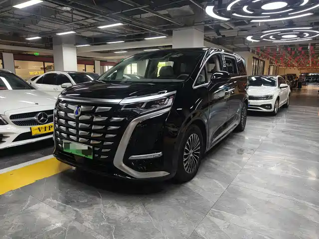 2023 Denza D9