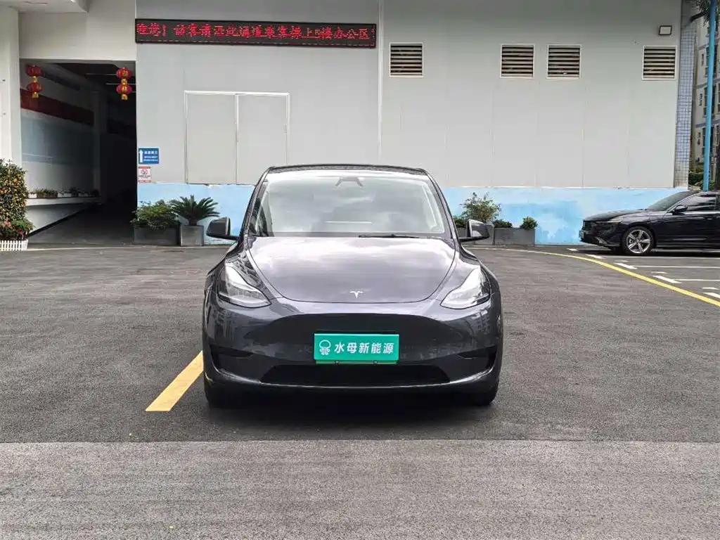 Tesla Model Y — миниатюра 2