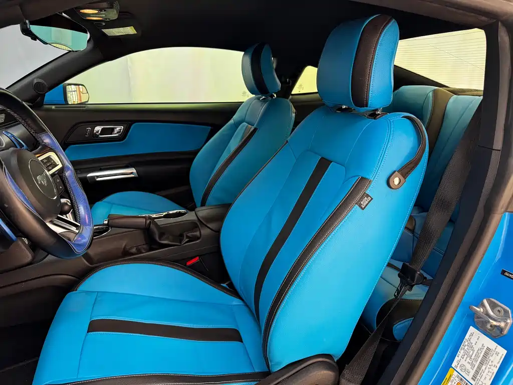 Ford Mustang 2.3T Performance Edition, фото 7