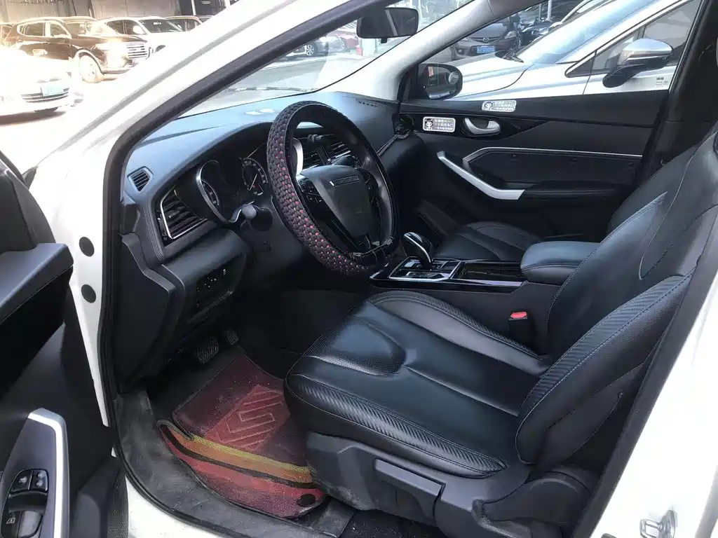 Venucia D60 EV — миниатюра 4