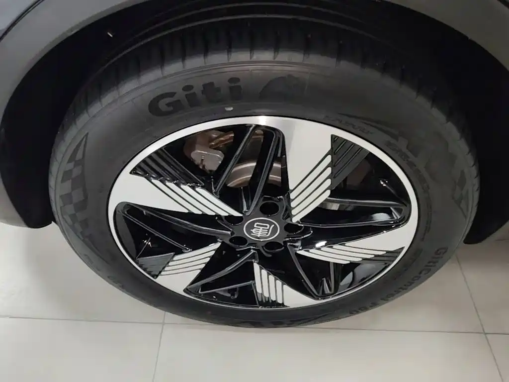 BYD Tang New Energy — миниатюра 23