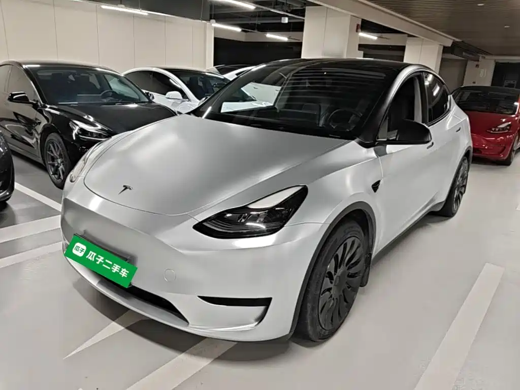 Tesla Model Y — миниатюра 2