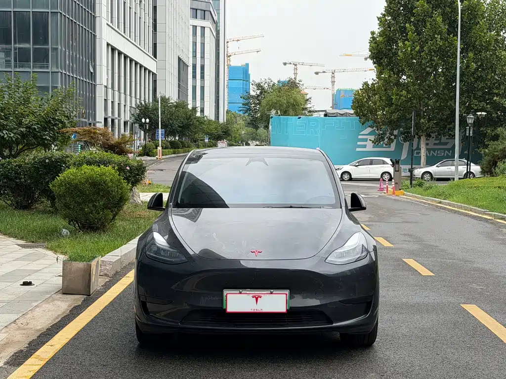 Tesla Model Y — миниатюра 2