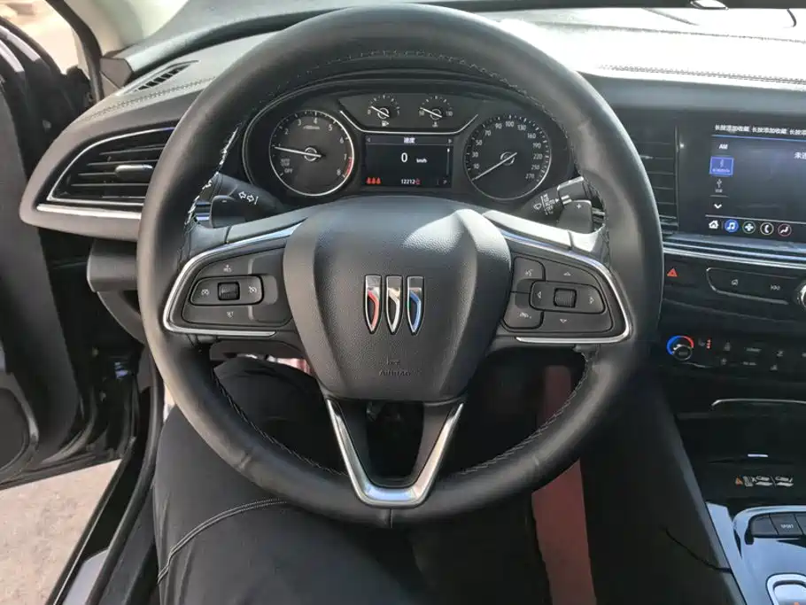 Buick Regal — миниатюра 15