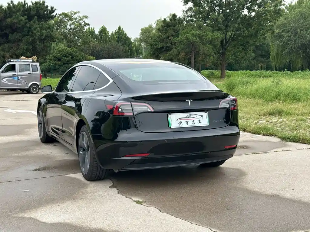 Tesla Model 3 — миниатюра 4