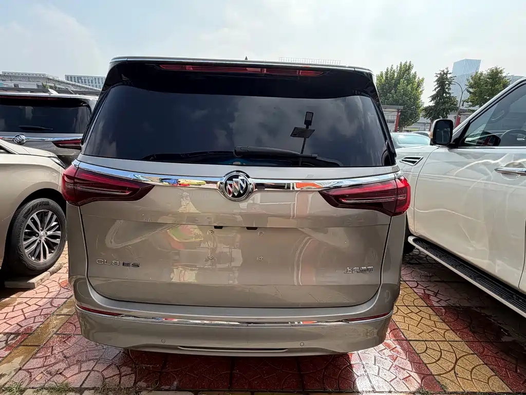 Buick GL8 — миниатюра 10